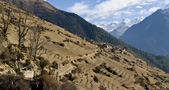 Annapurna Trek, Gyaru - by Henk