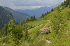 Karnischer Höhenweg, Unteren Valentin Alm - Zollnerseehutte