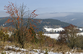 Klinovec (1244 m)