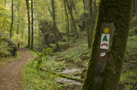 GR5, E2, E3, Sentier Maurice Cosyn, Sentier Ardennes - Eifel, Müllerthal Trail - Beaufort - Berdorf