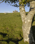 Mull, Glengorm Castle