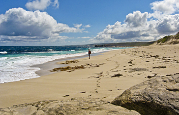 Cape to Cape track: Leeuwin-Naturaliste National Park - by Erin and Leif